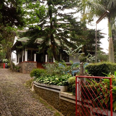 Cemara'S Homestay Бату Экстерьер фото